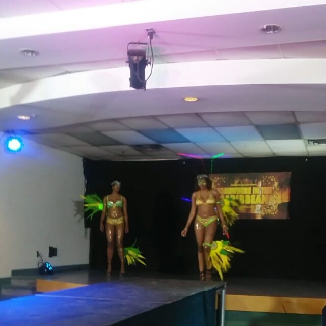 York Region Mas 2016 band launch

SOMEWHERE IN THE CARIBBEAN 
Section 4: "Wild Things"